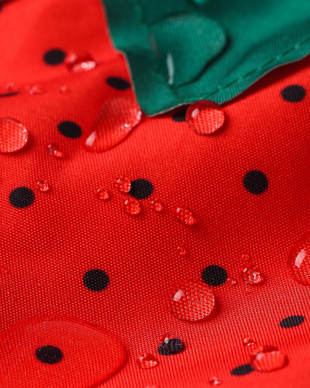 Strawberry Water-Resistant Drawstring Pouch