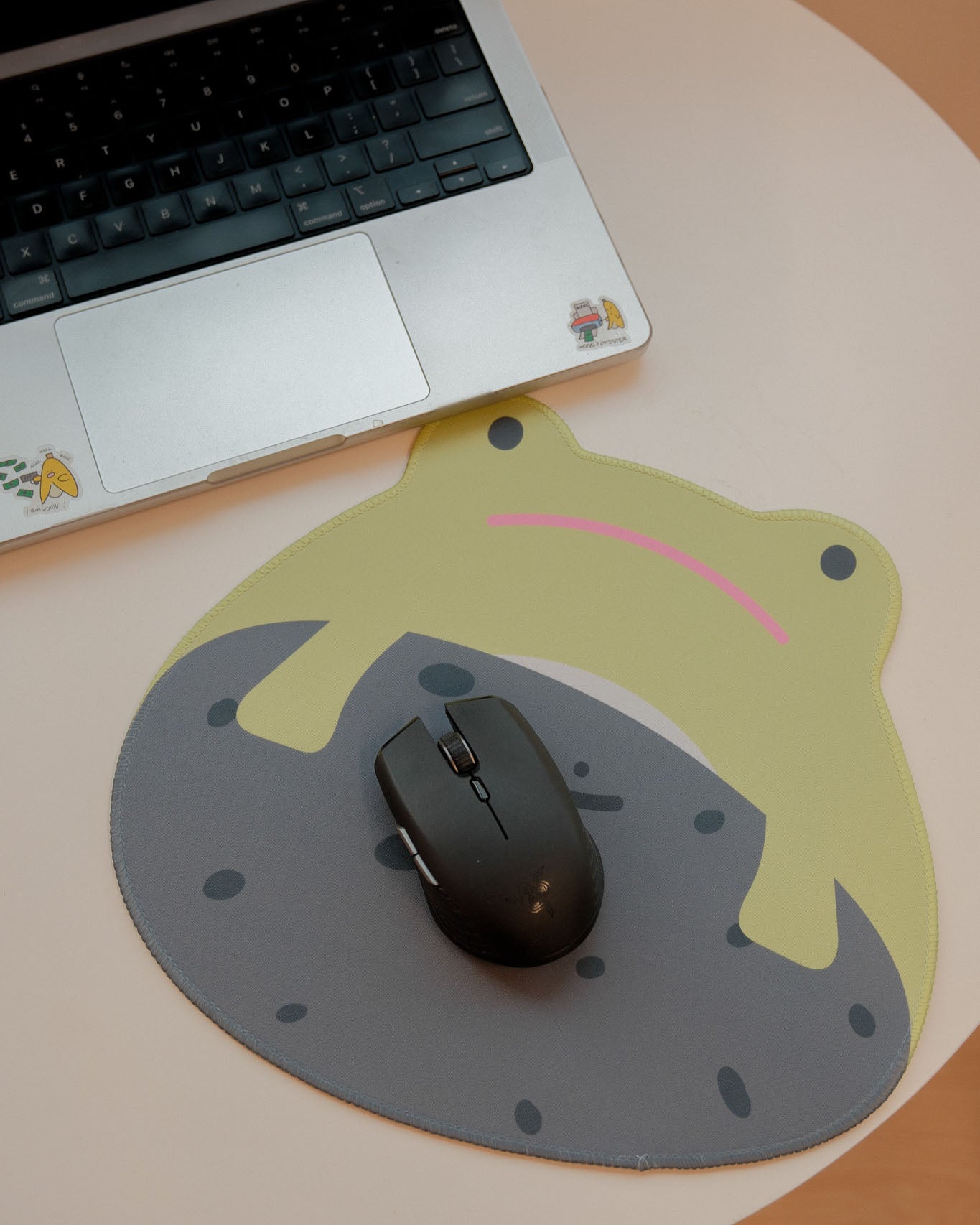 Frogile Frog & Stone Mousepad