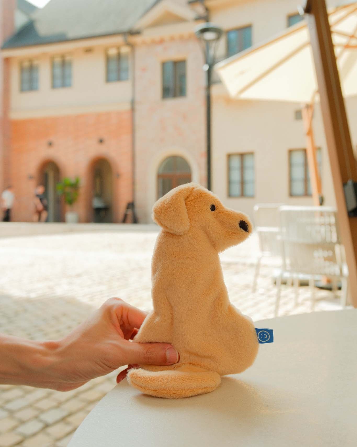Golden Retriever Pouch/Case
