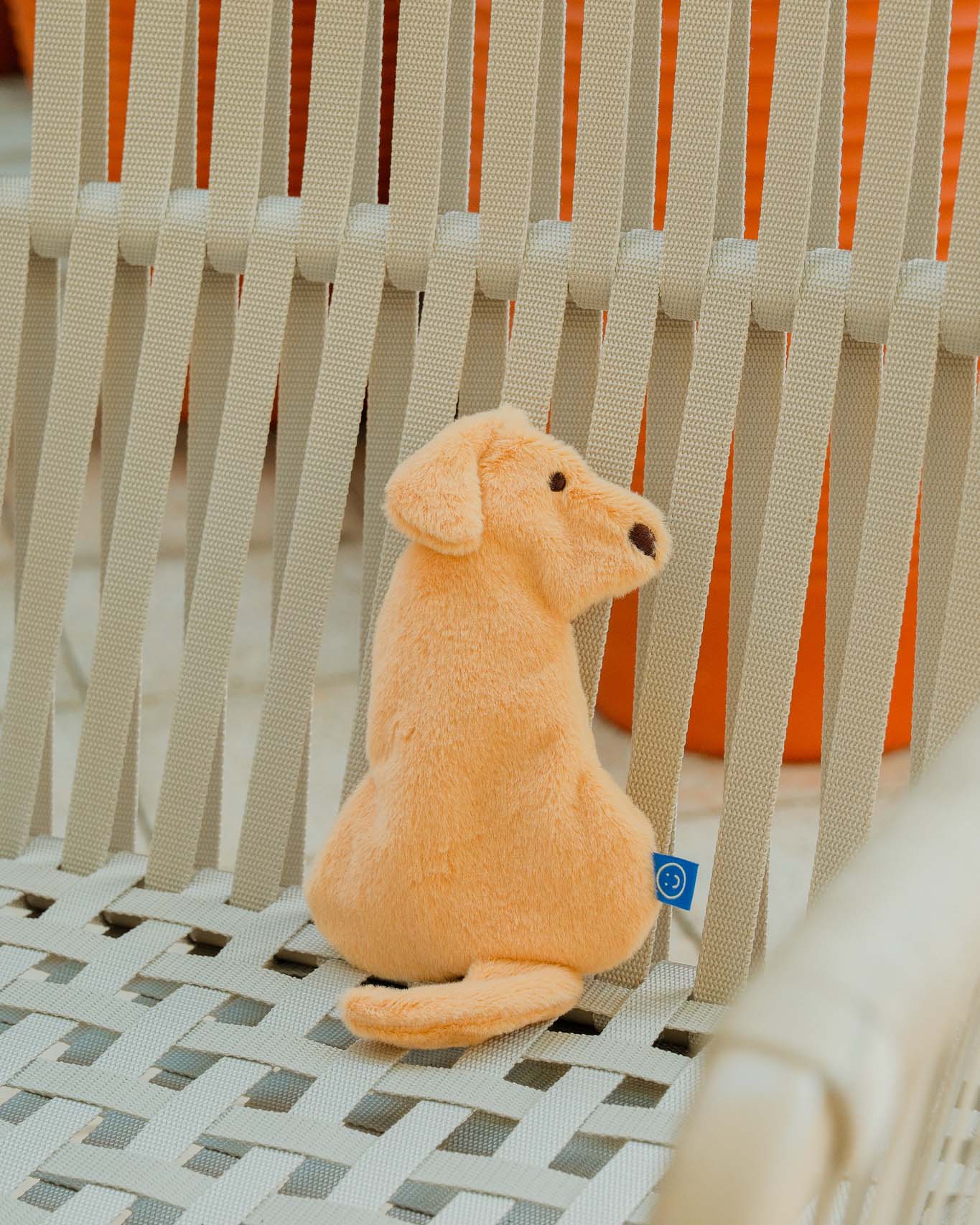 Golden Retriever Pouch/Case