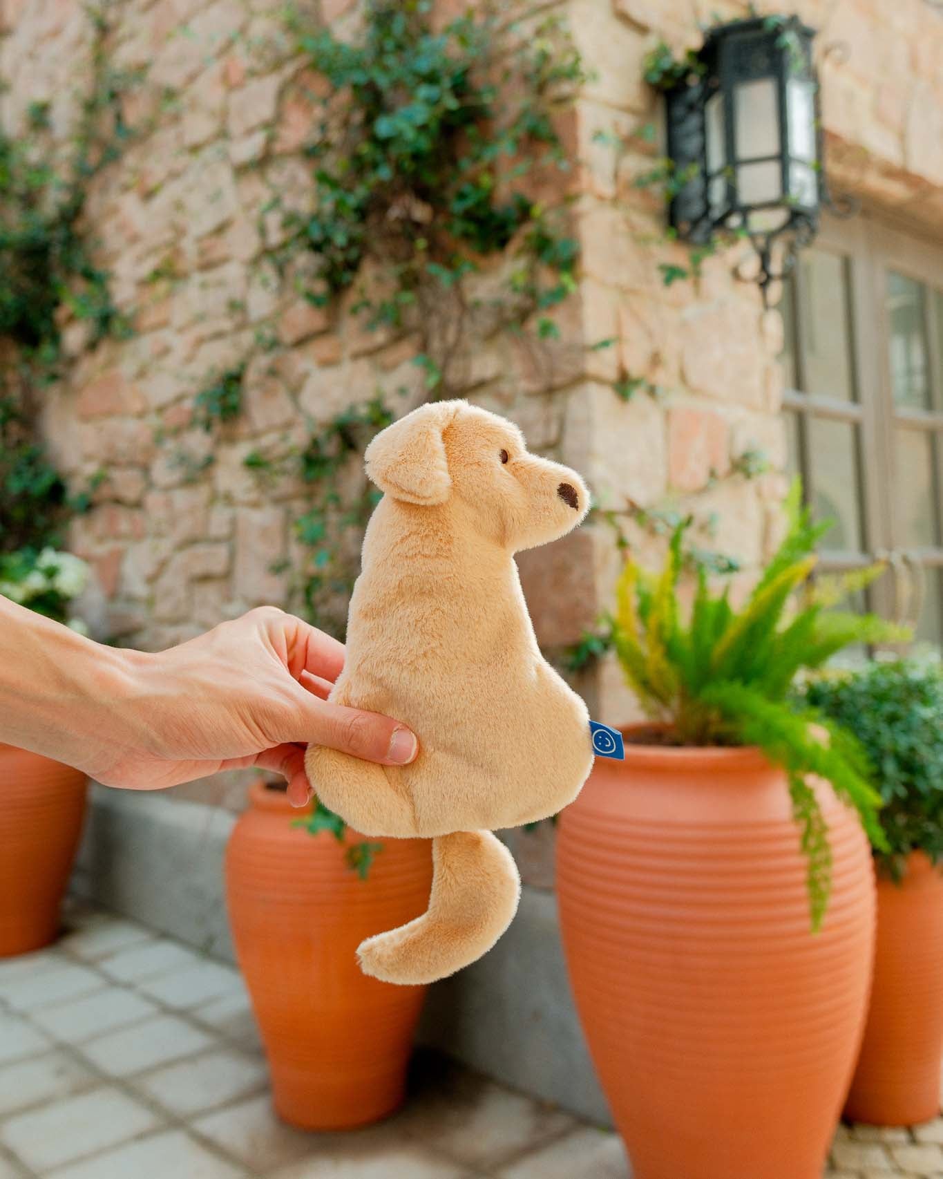 Golden Retriever Pouch/Case