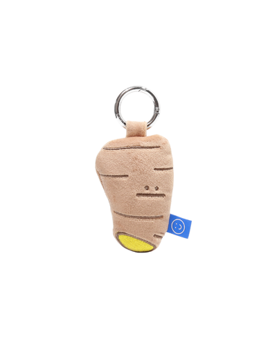 Ginger Plushie Reusable Nylon Small Bag