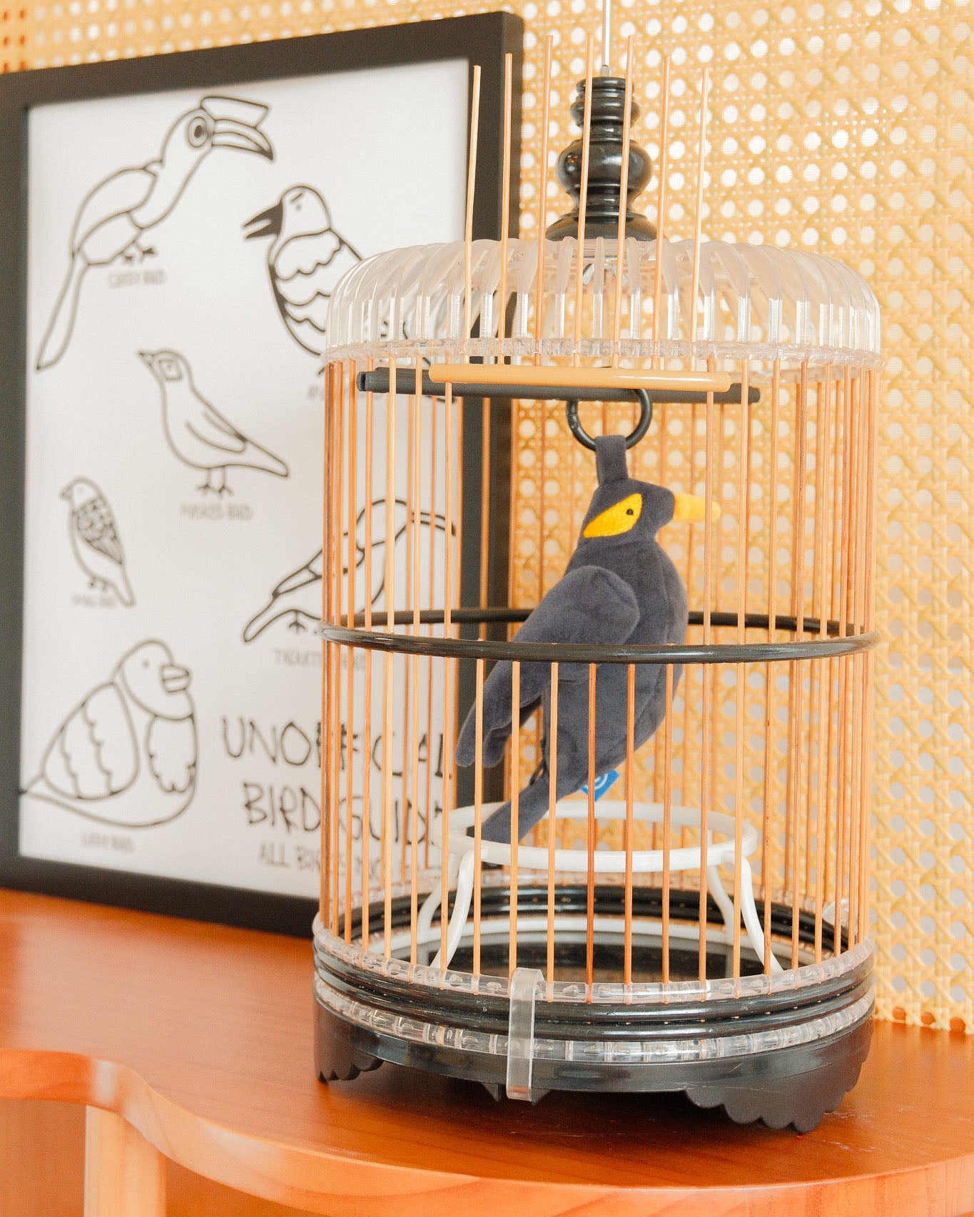 Mynah bird in a cage on a wooden surface with a framed illustration of birds in the background.