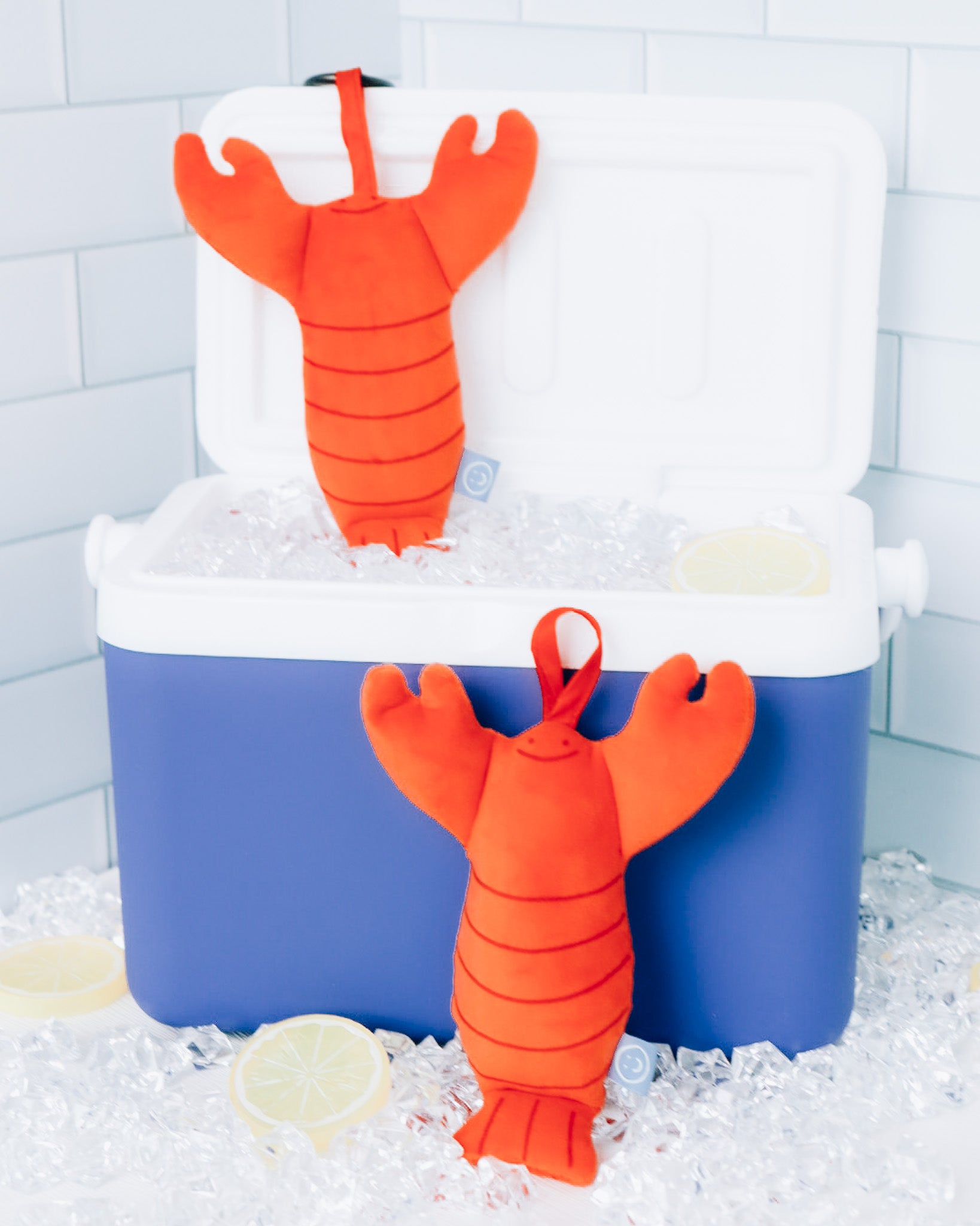 fresh lobster plushies taken from a ice container