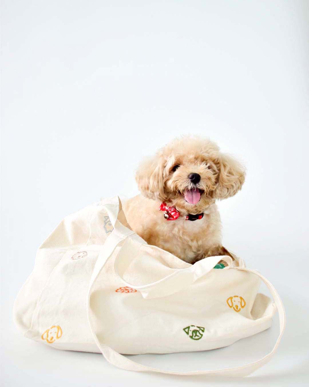 Dog Doodle Cotton Canvas Tote Bag